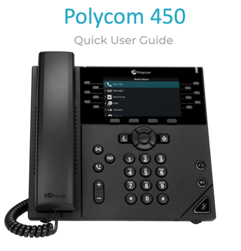 Polycom_450.png